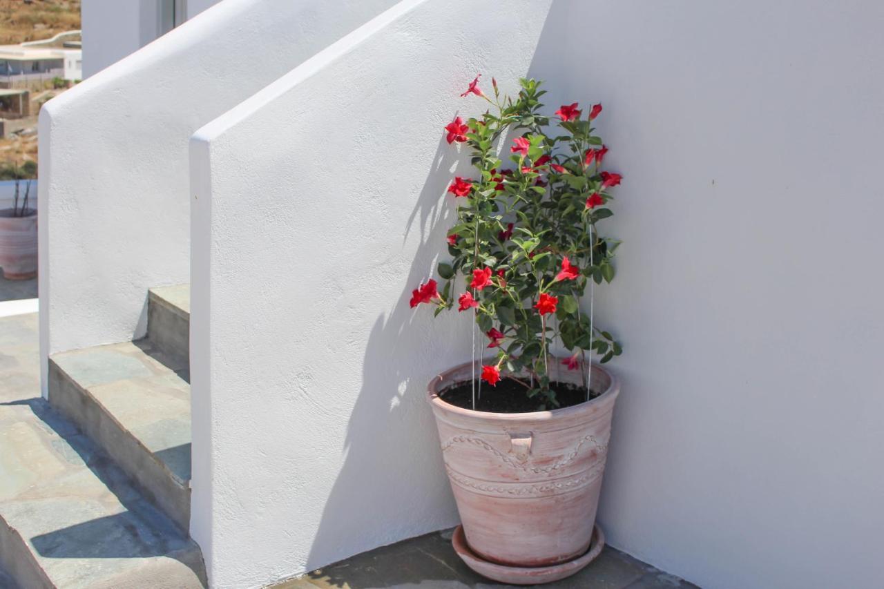 Aparthotel Crystal View Mykonos Mykonos Town Exteriér fotografie